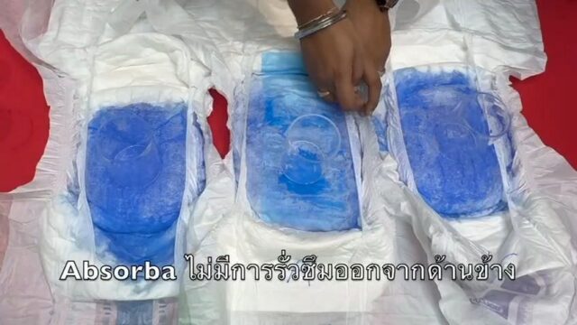 Absorba Demo Video_00-02-21